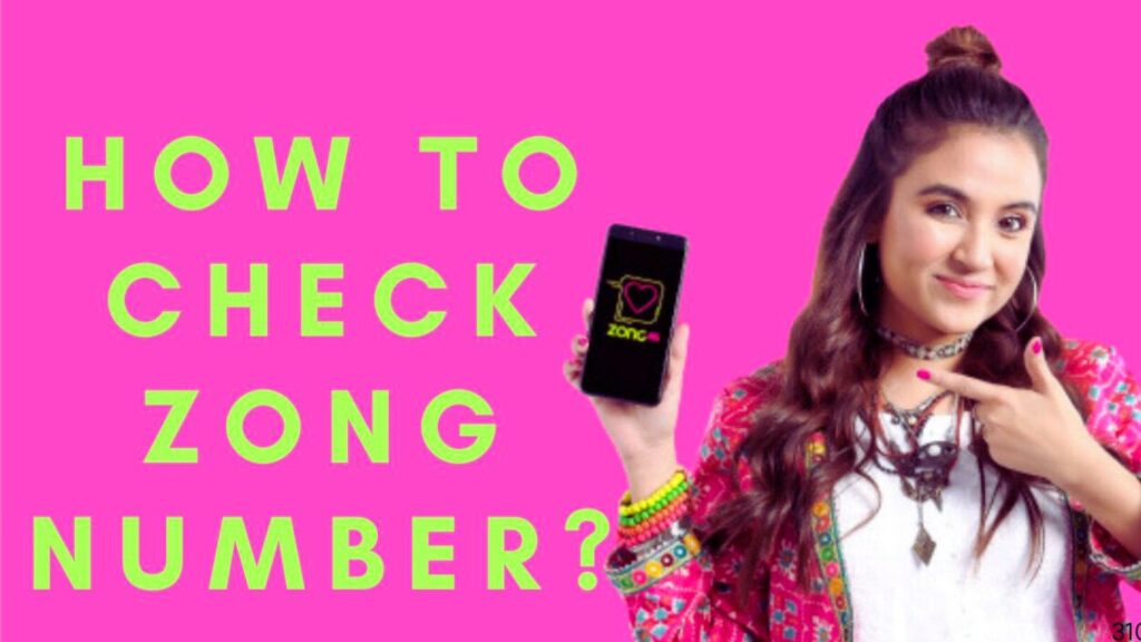 How to Check Zong Number? Zong Number Check Code